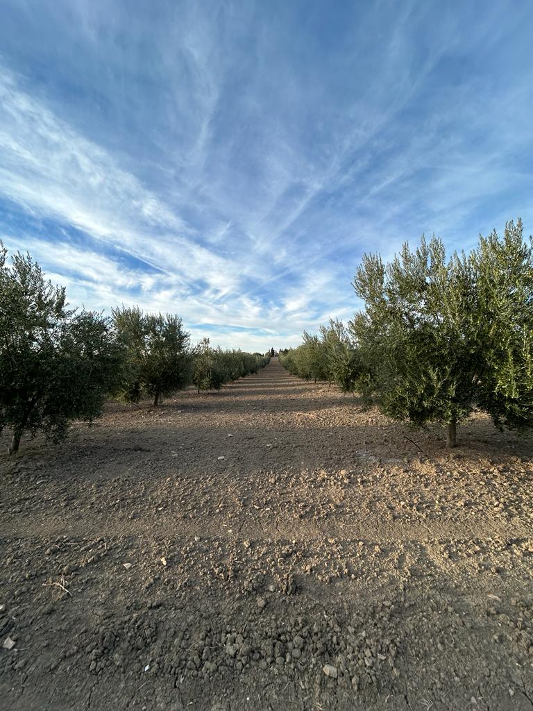 Imagen de WhatsApp 2024-11-10 a las 18.42.44_0887d306