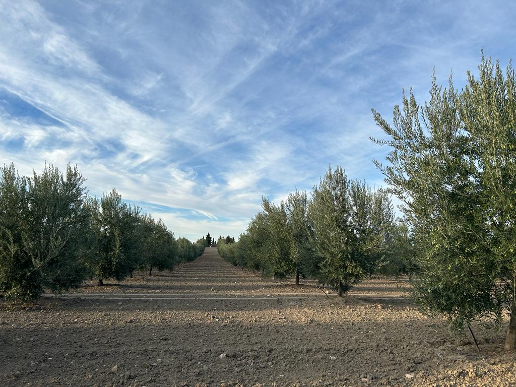 Imagen de WhatsApp 2024-11-10 a las 18.42.44_fe3a7f8e